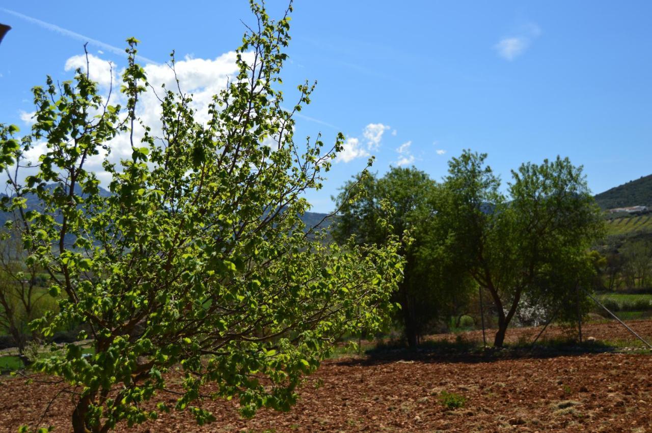 Cortijo Petra Bed and Breakfast Villanueva del Rosario Εξωτερικό φωτογραφία