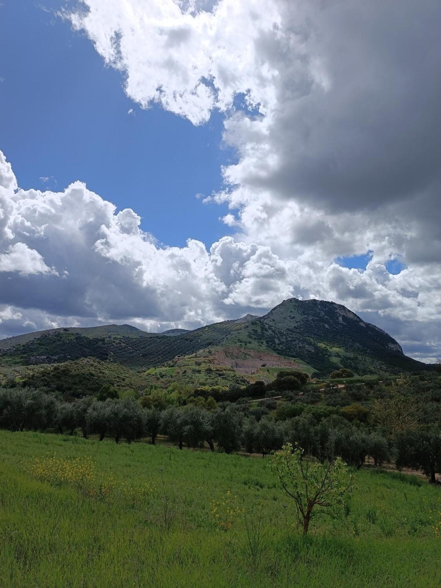 Cortijo Petra Bed and Breakfast Villanueva del Rosario Εξωτερικό φωτογραφία